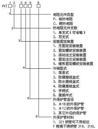 低温耐磨双支热电阻WZP2N-2212A